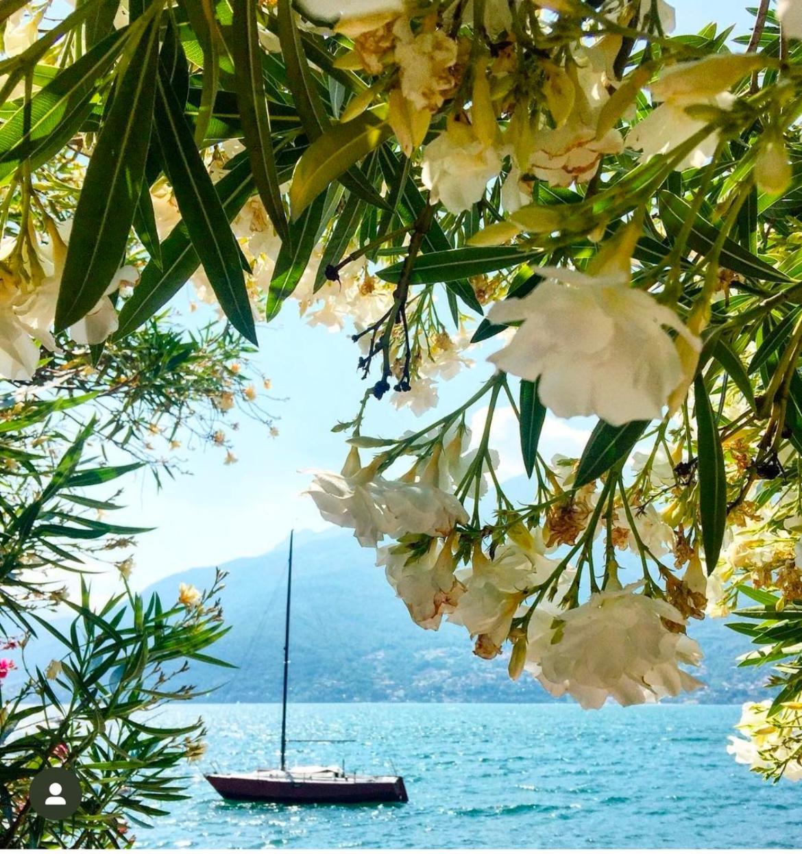 Casa Didi & Rosi - Lake Como Colico Kültér fotó